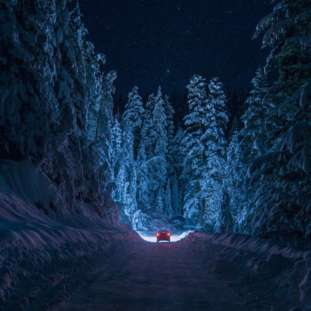 Meet your Posher, Dimitar